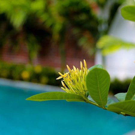 Tam Coc International Friends Apartment Ninh Bình Ngoại thất bức ảnh