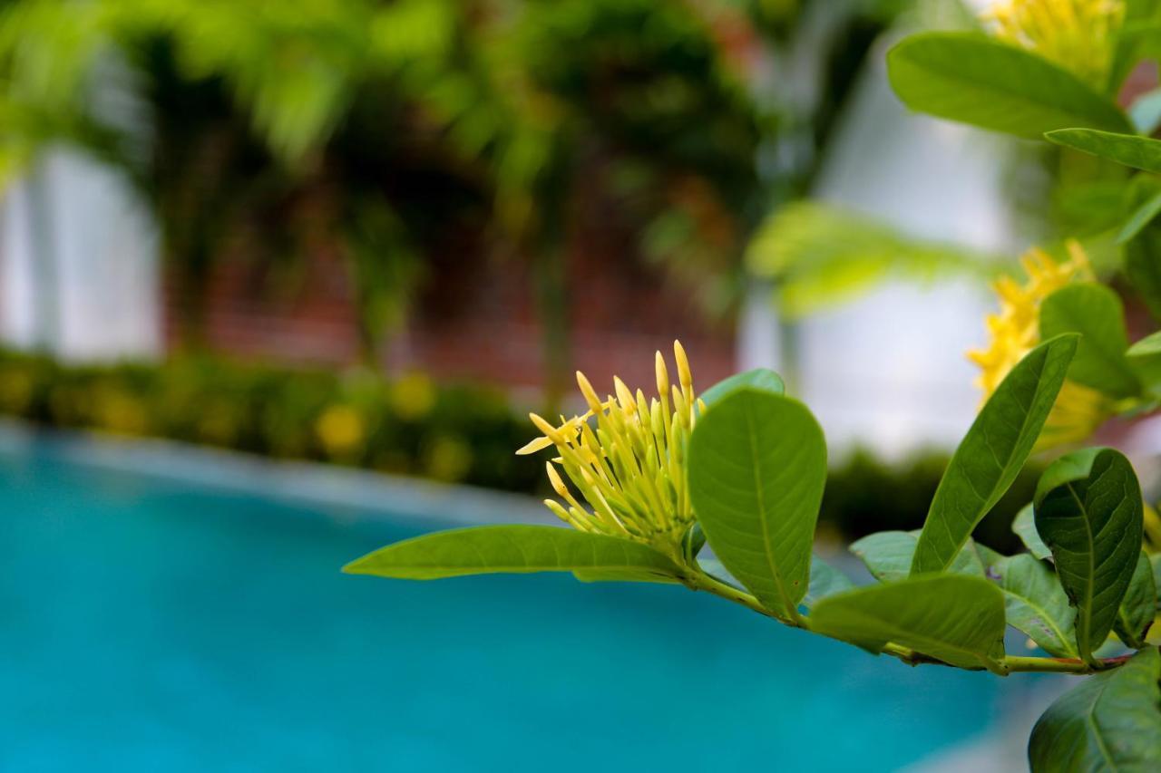 Tam Coc International Friends Apartment Ninh Bình Ngoại thất bức ảnh